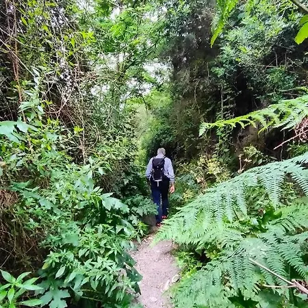Relax E Oltre Apartment